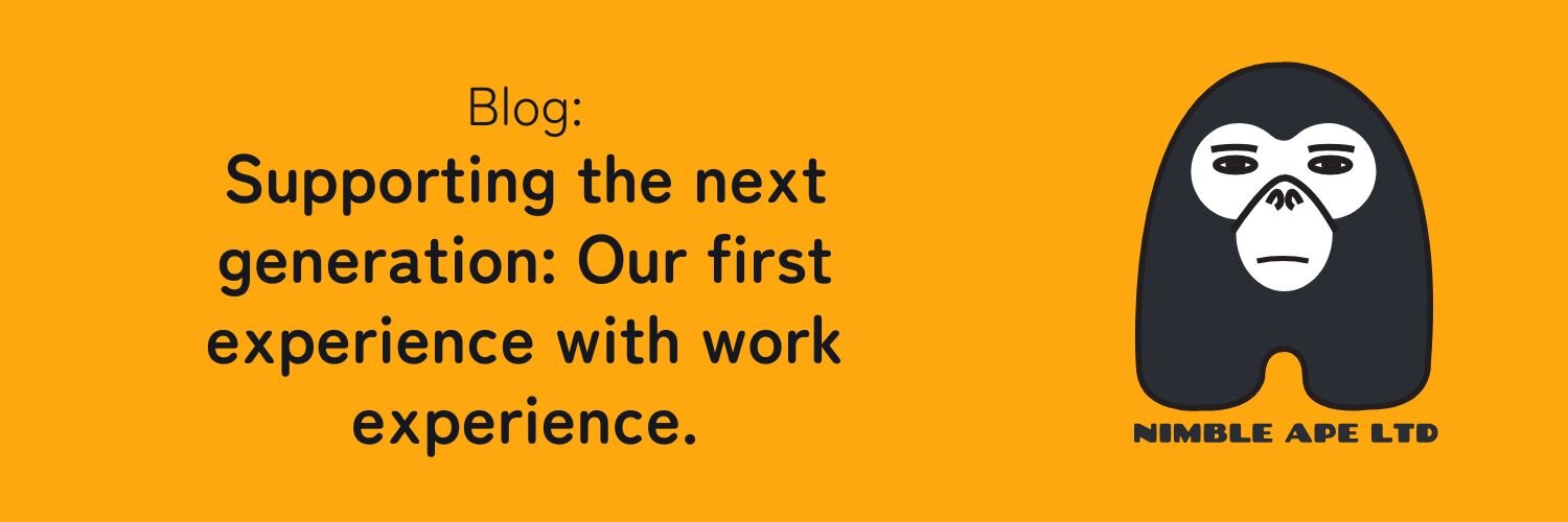Supporting the Next Generation: Our First Experience With Work Experience