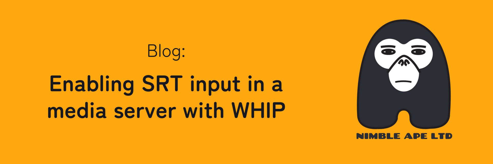 Enabling SRT Input in a Media Server with WHIP